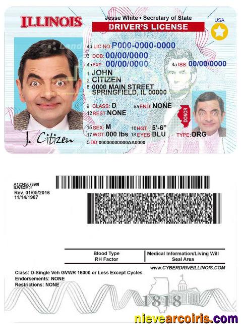 USA Illinois driving license